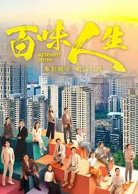 爱情剧 双城记事 海报